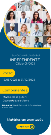 Bancadas 2023 - Independente.png
