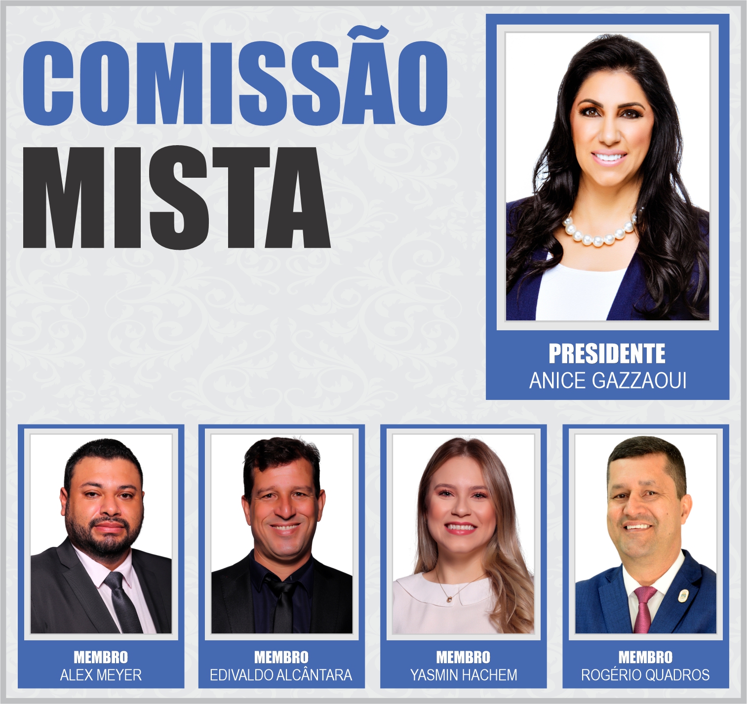 COMISSÕES PERMANENTES 2024 - MISTA.jpg