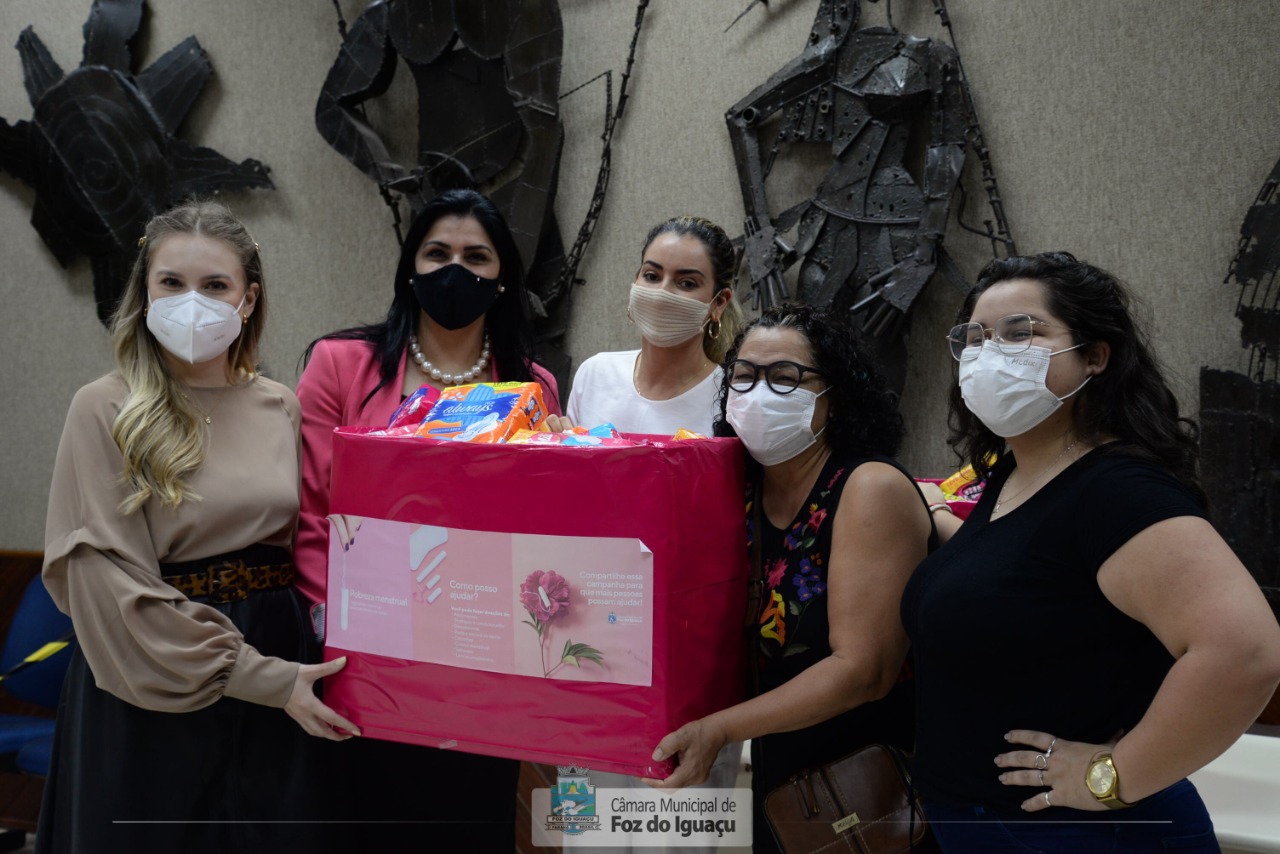 Câmara entrega doações da campanha contra pobreza menstrual