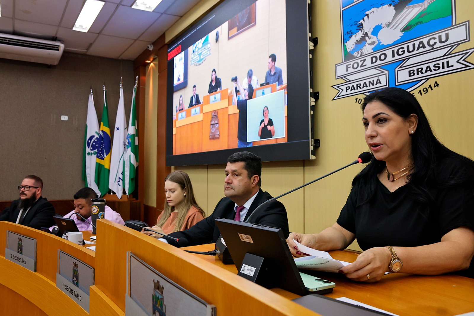 Debate do orçamento para 2025 levanta preocupação com financiamento da saúde