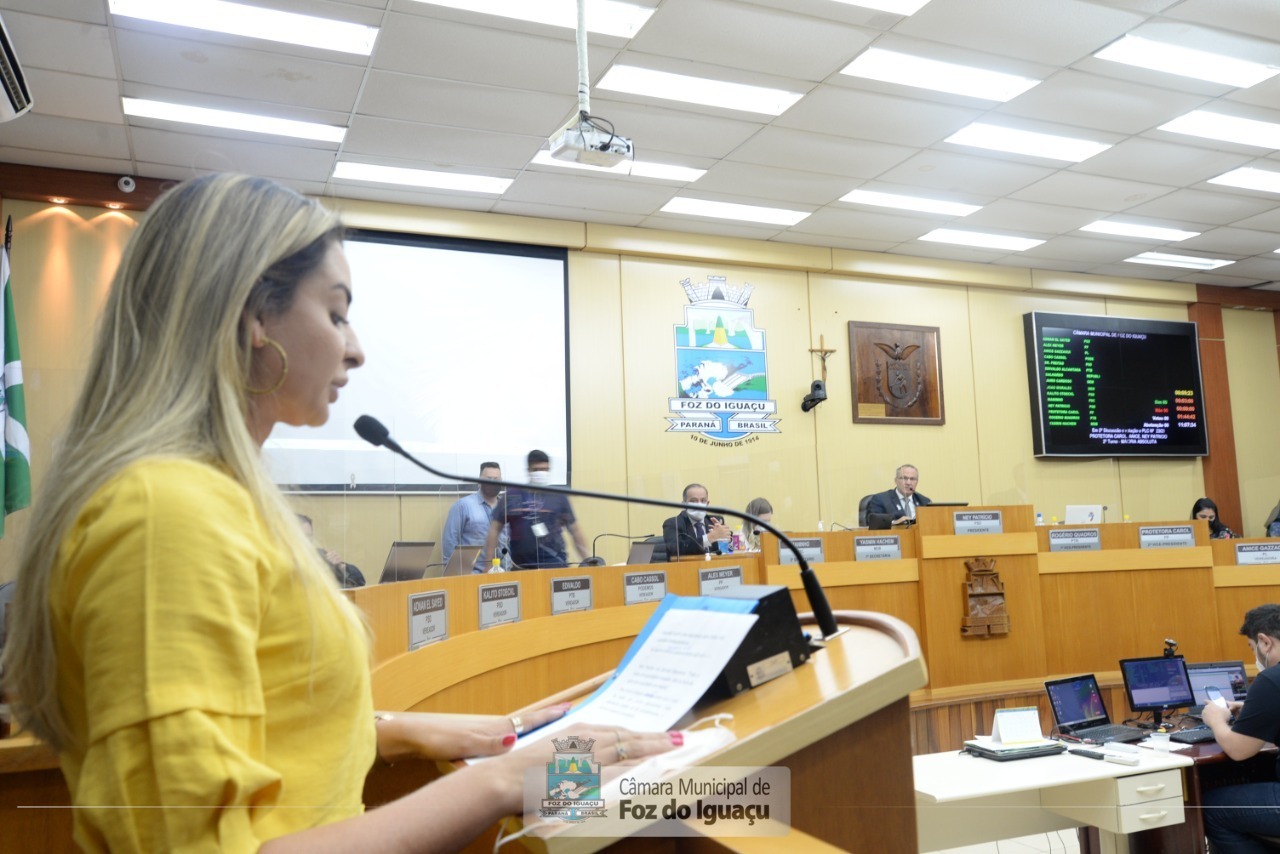 Vereadores aprovam prorrogação de pedido de isenção de IPTU